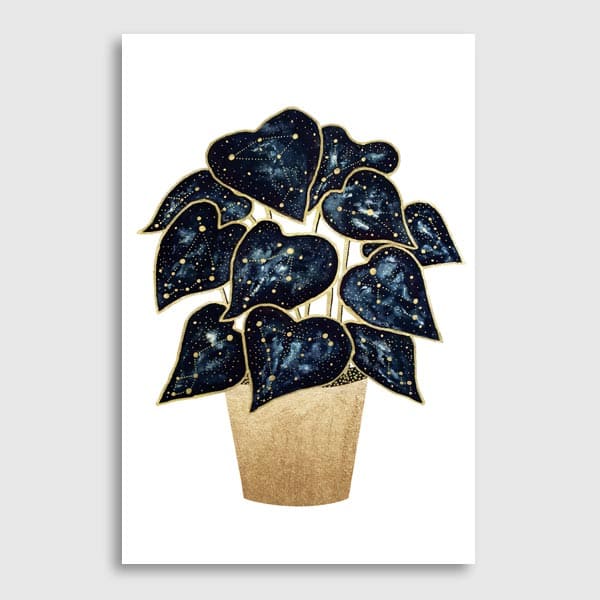 The Flow Design - Philodendron Constellations