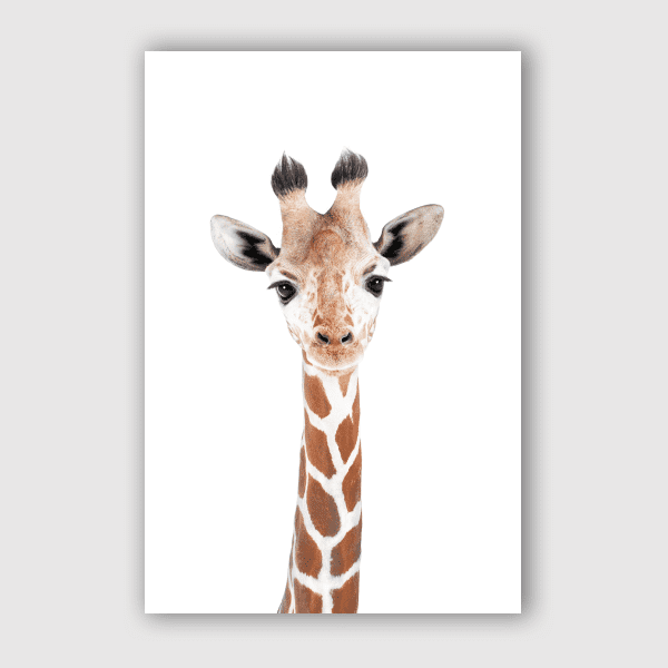 SisiAndSeb - Happy Giraffe