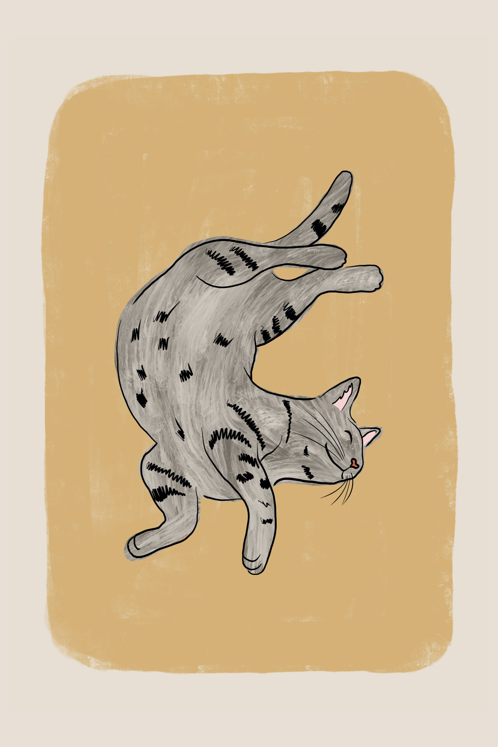 Kucing dan makanan